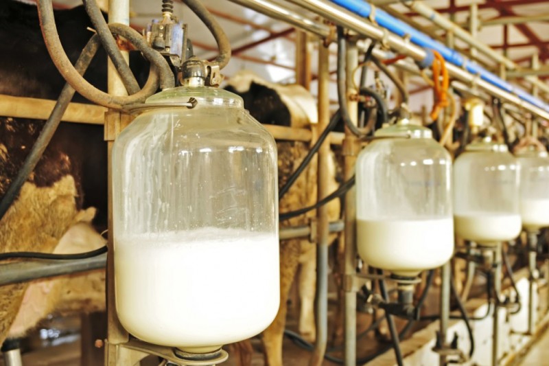 Утвержден ГОСТ на наличие ветпрепаратов в молоке и молочном сырье
